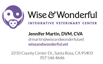 Wise & Wonderful Integrative Veterinary Center