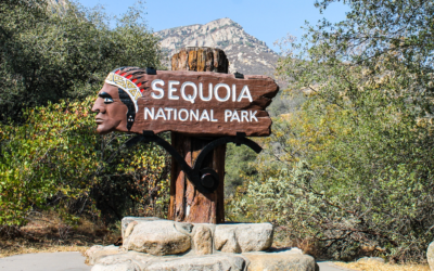 Sequoia National Park partially reopening after big fire